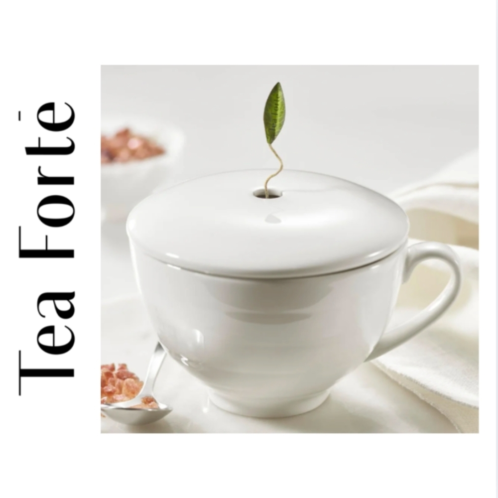Tea Forté Café Cup Bone White Porcelain Tea Cup & Steeping Lid 8oz